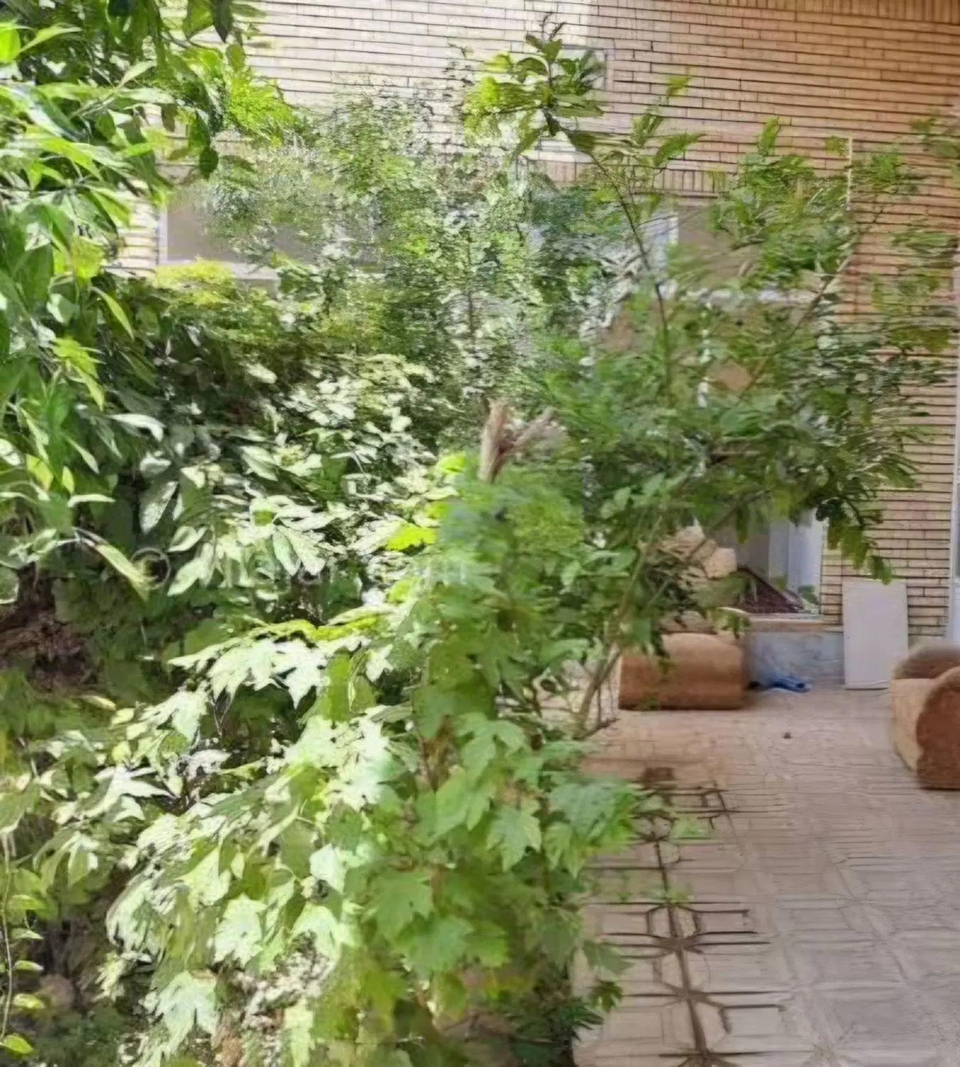 منزل اجاره ای قصرشیرین