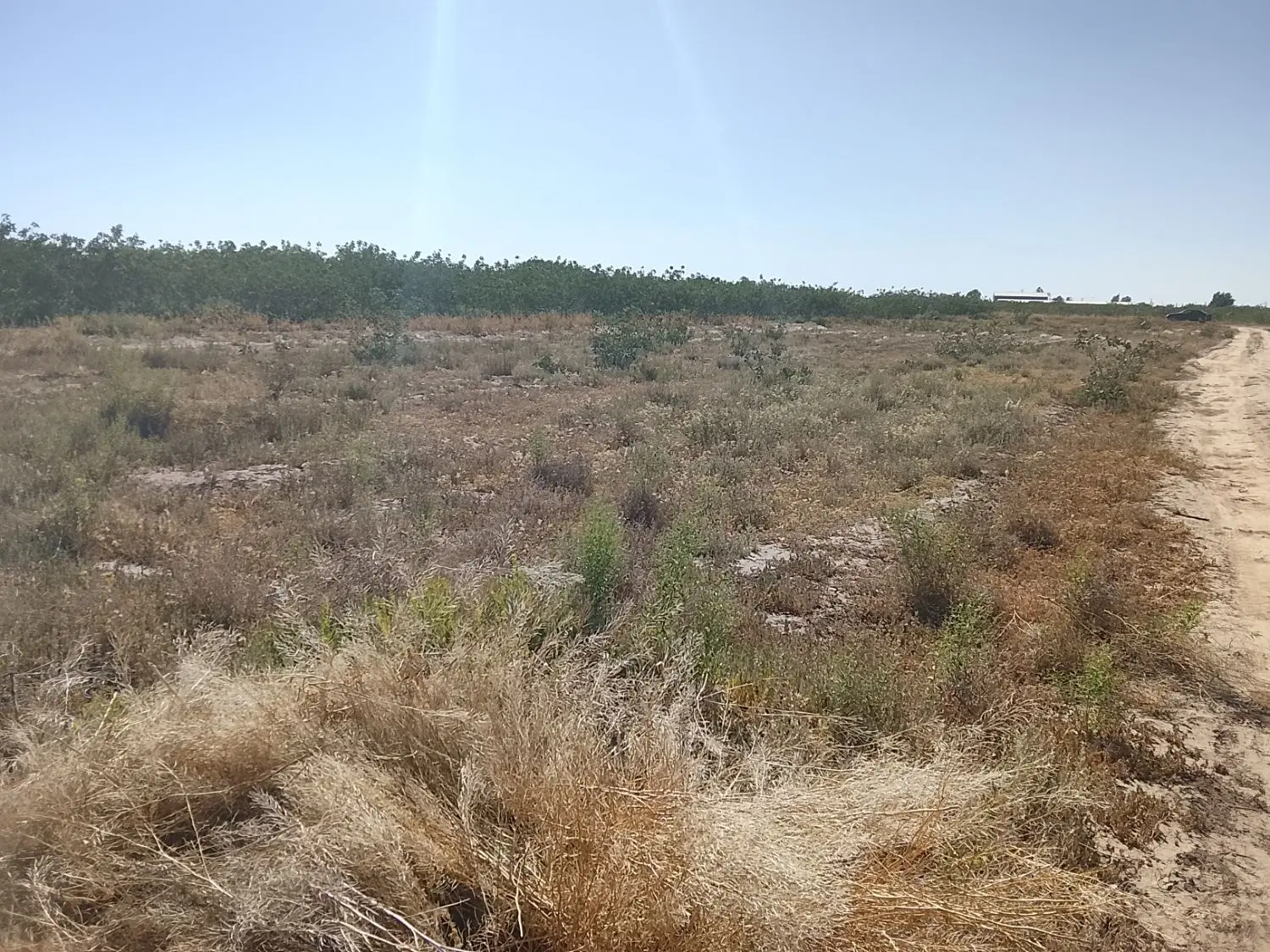 زمین حجت آباد