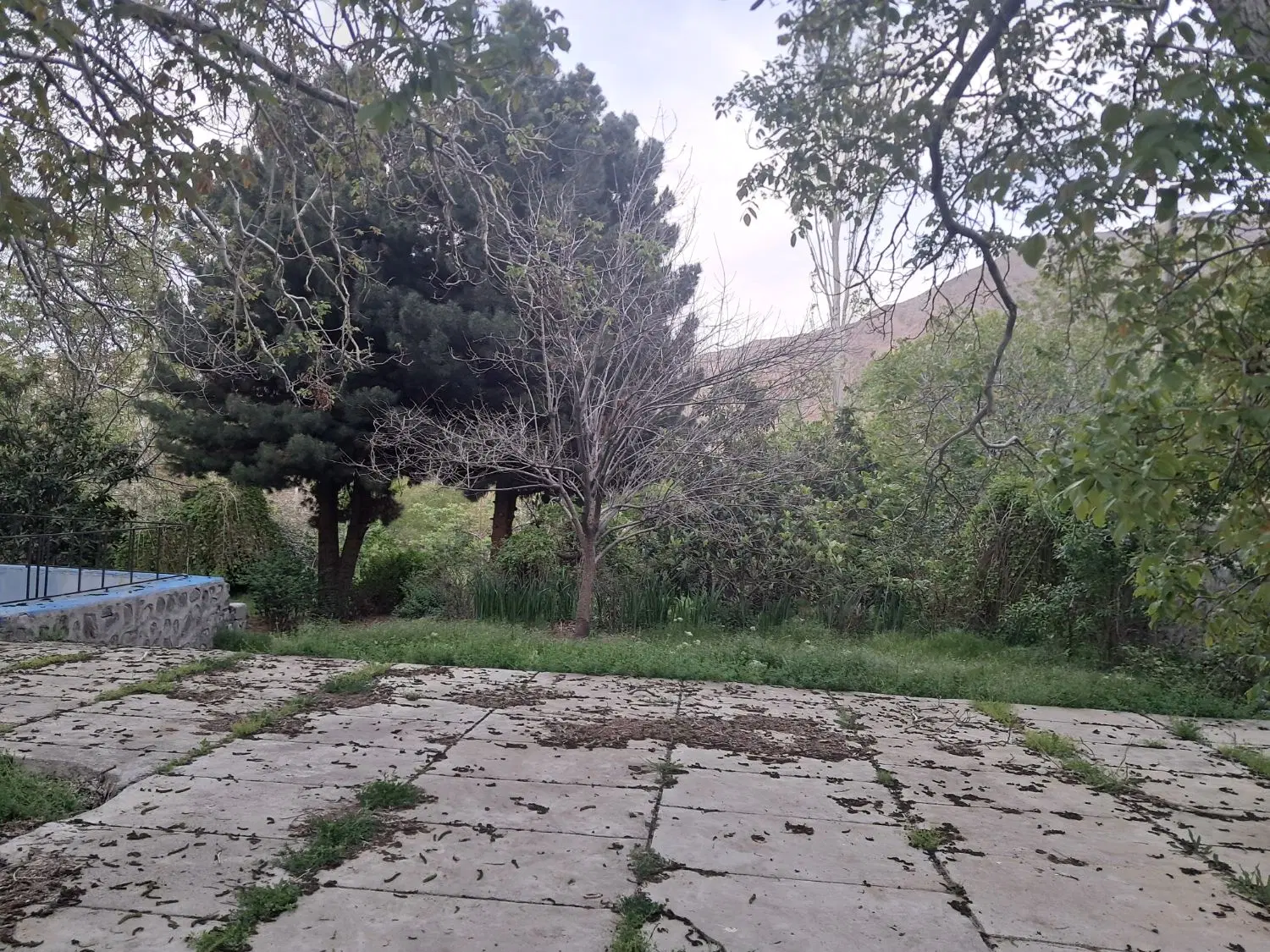 تعدادی زمین فروشی در کلرود