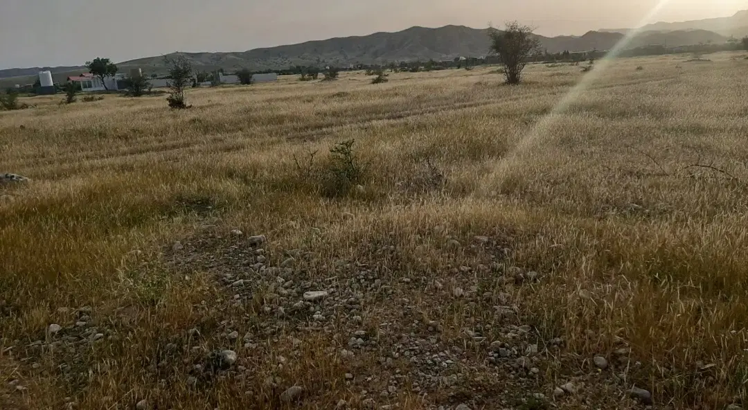 زمین باغی چهاربیشه