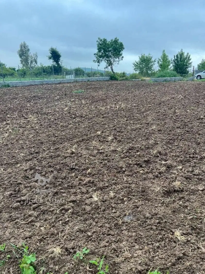 زمین کشاورزی