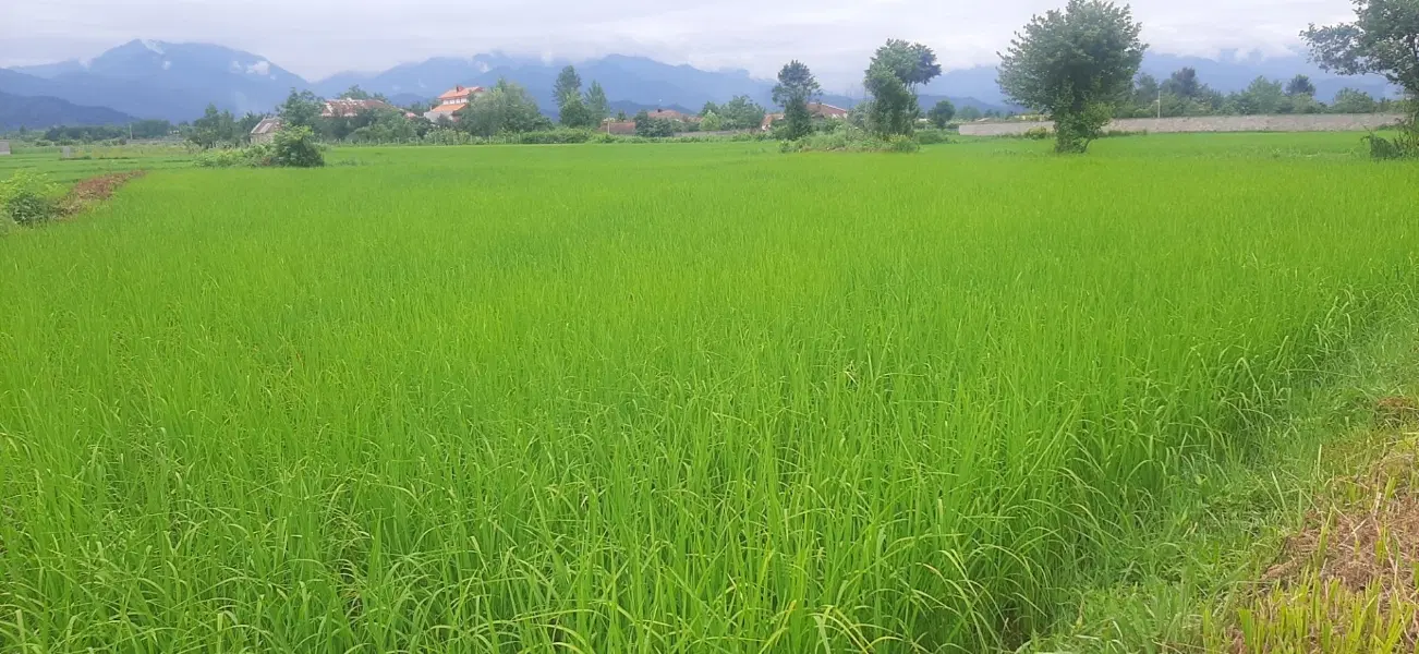 ۳۰۰۰هزار متر زمین کشاورزی