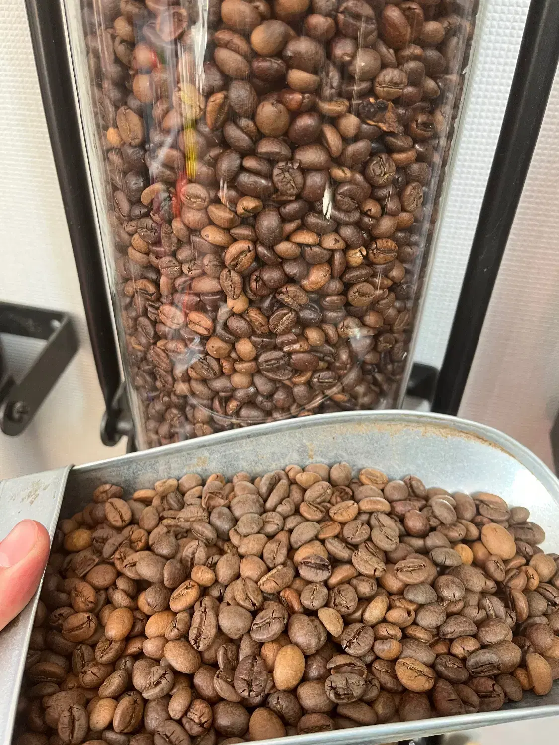 واگذاری کافه مخابرات