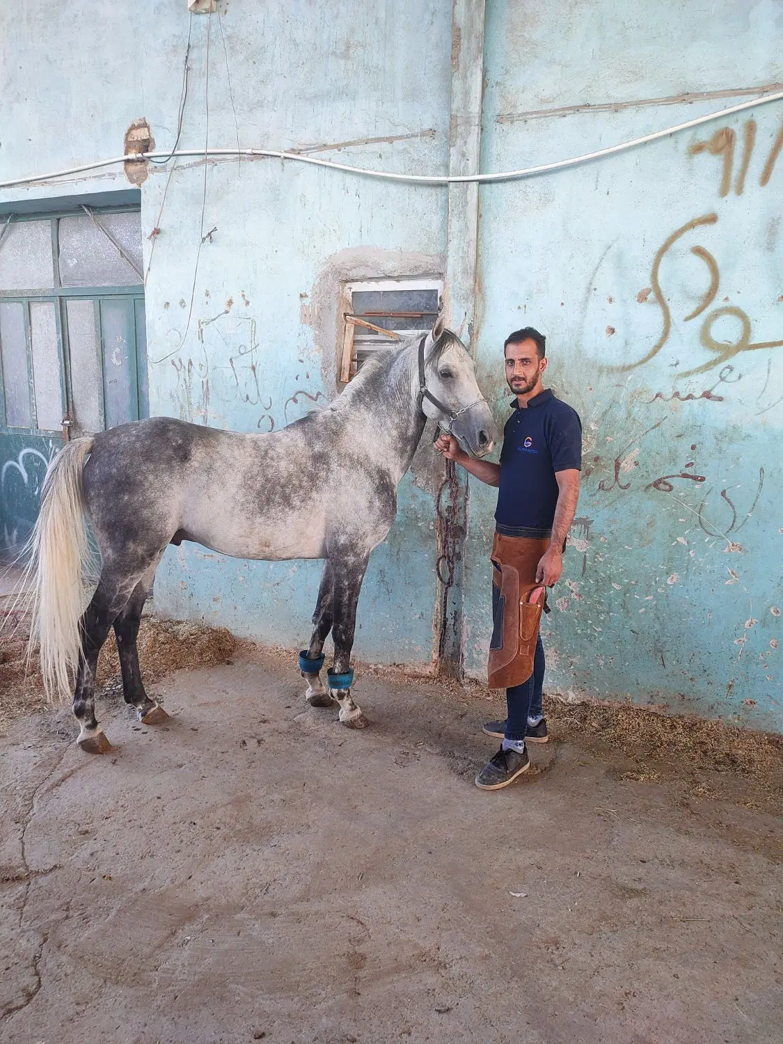 اجاره ملک  نگهداری اسب