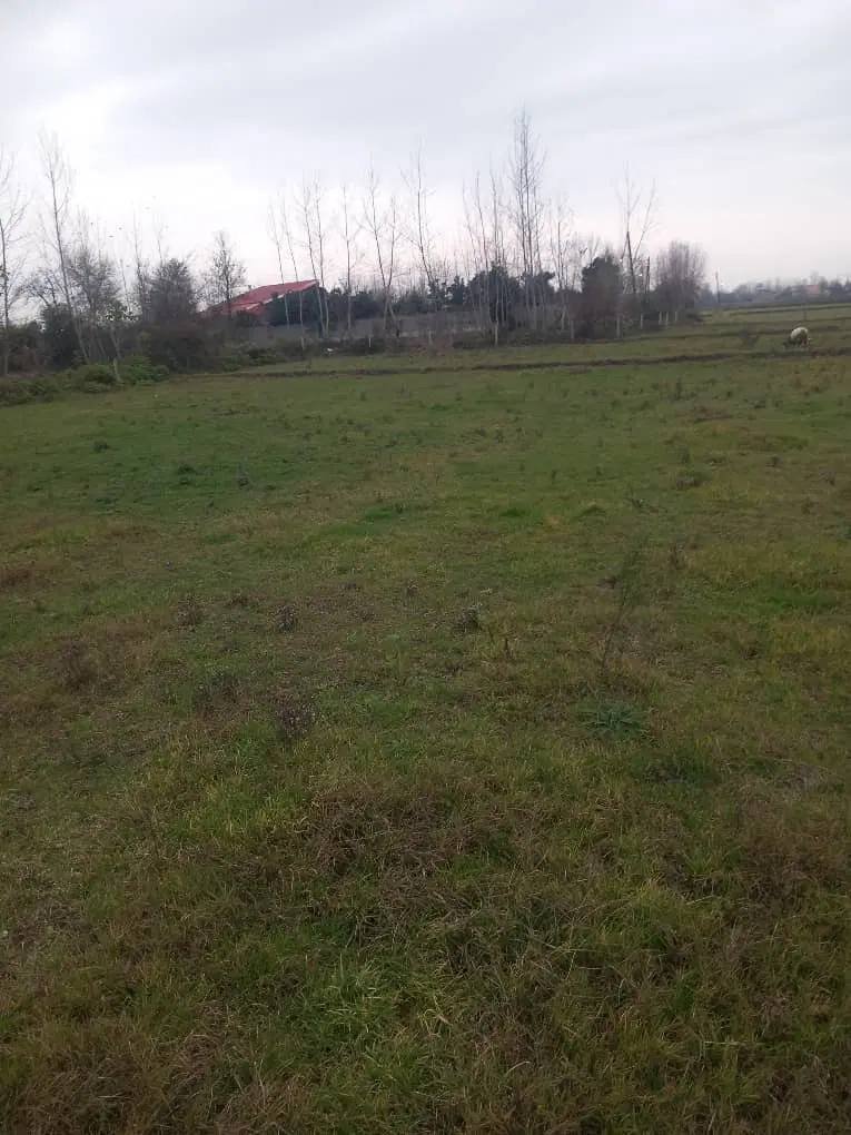 زمین کشاورزی