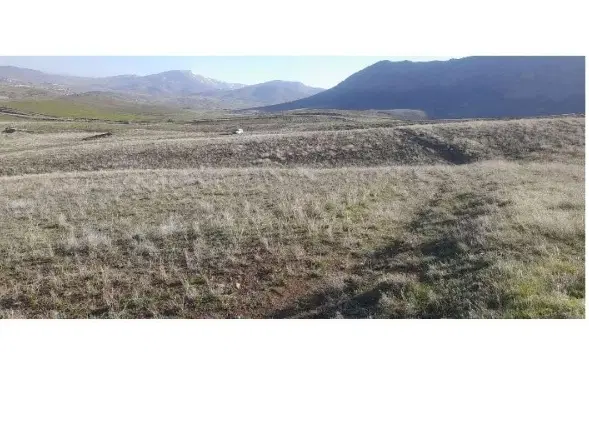 زمین زراعی در طولاش