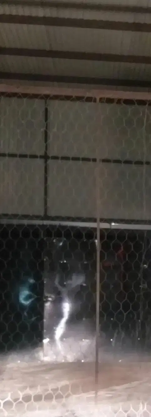اجاره مغازه