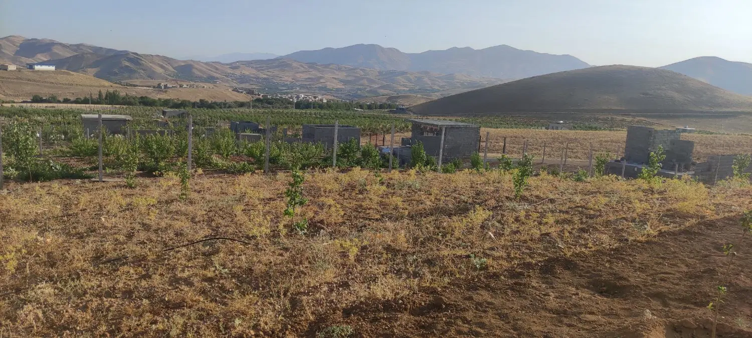 زمین‌ کشاورزی قلیان