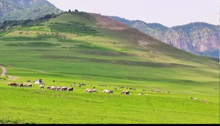 رهن کامل خانه ویلایی ۲ خوابه در تنگراه  کنار جنگل