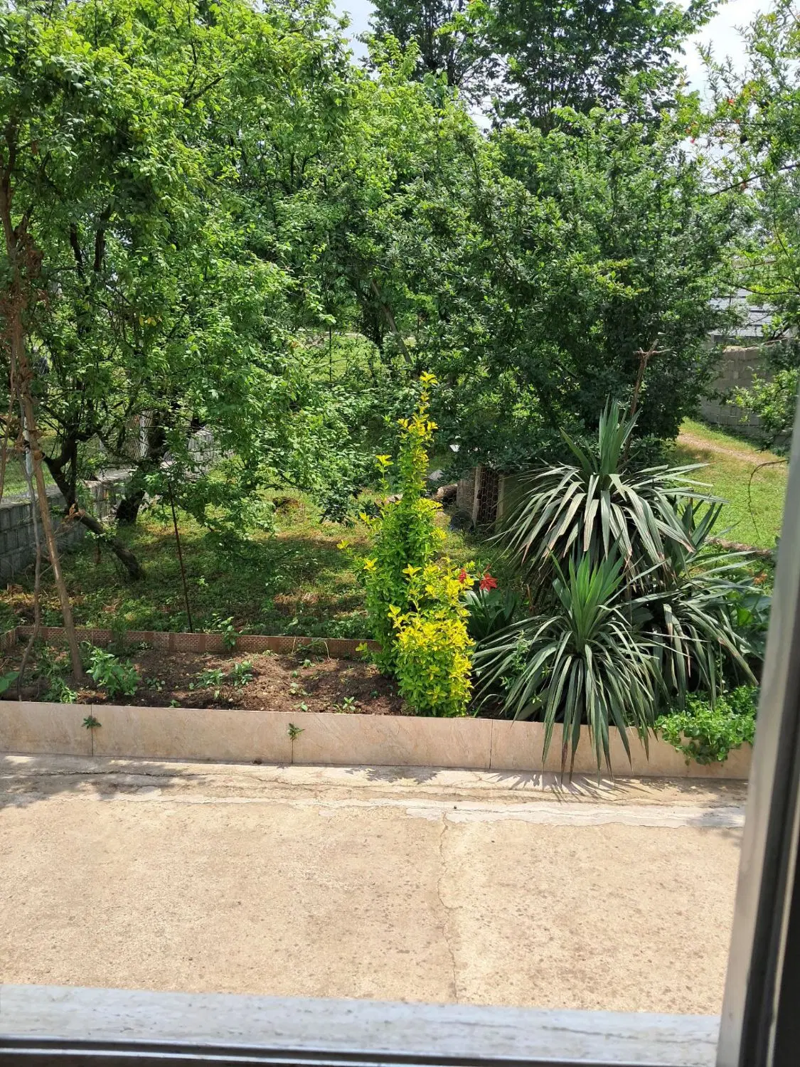 ویلا جنگلی ۴۰۰ متری ۱۰۰متر بنا