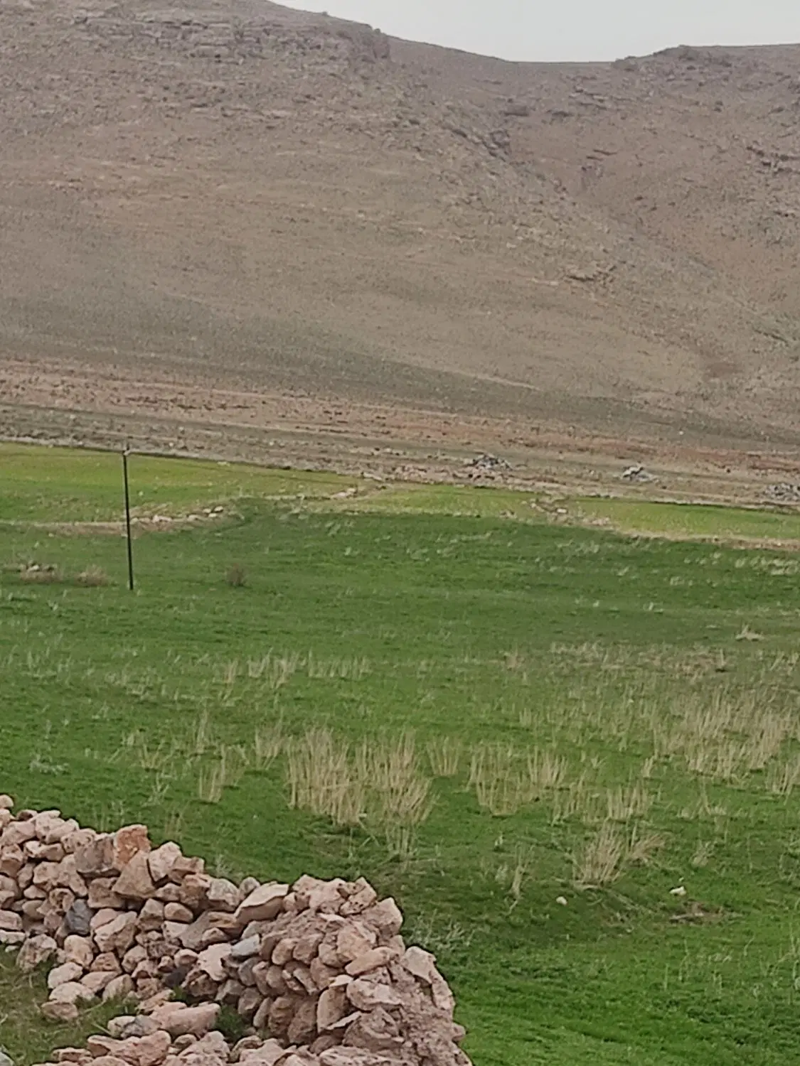 زمین یک هکتاری