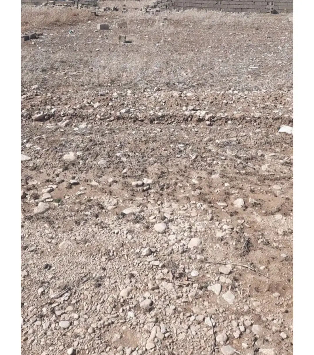 زمین بنسنجان