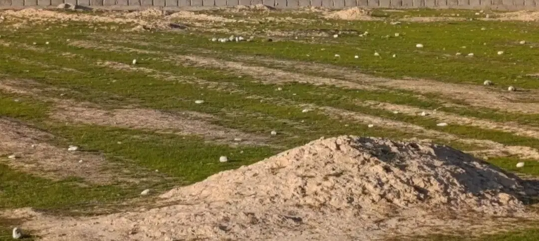 120 متری طرح سروش