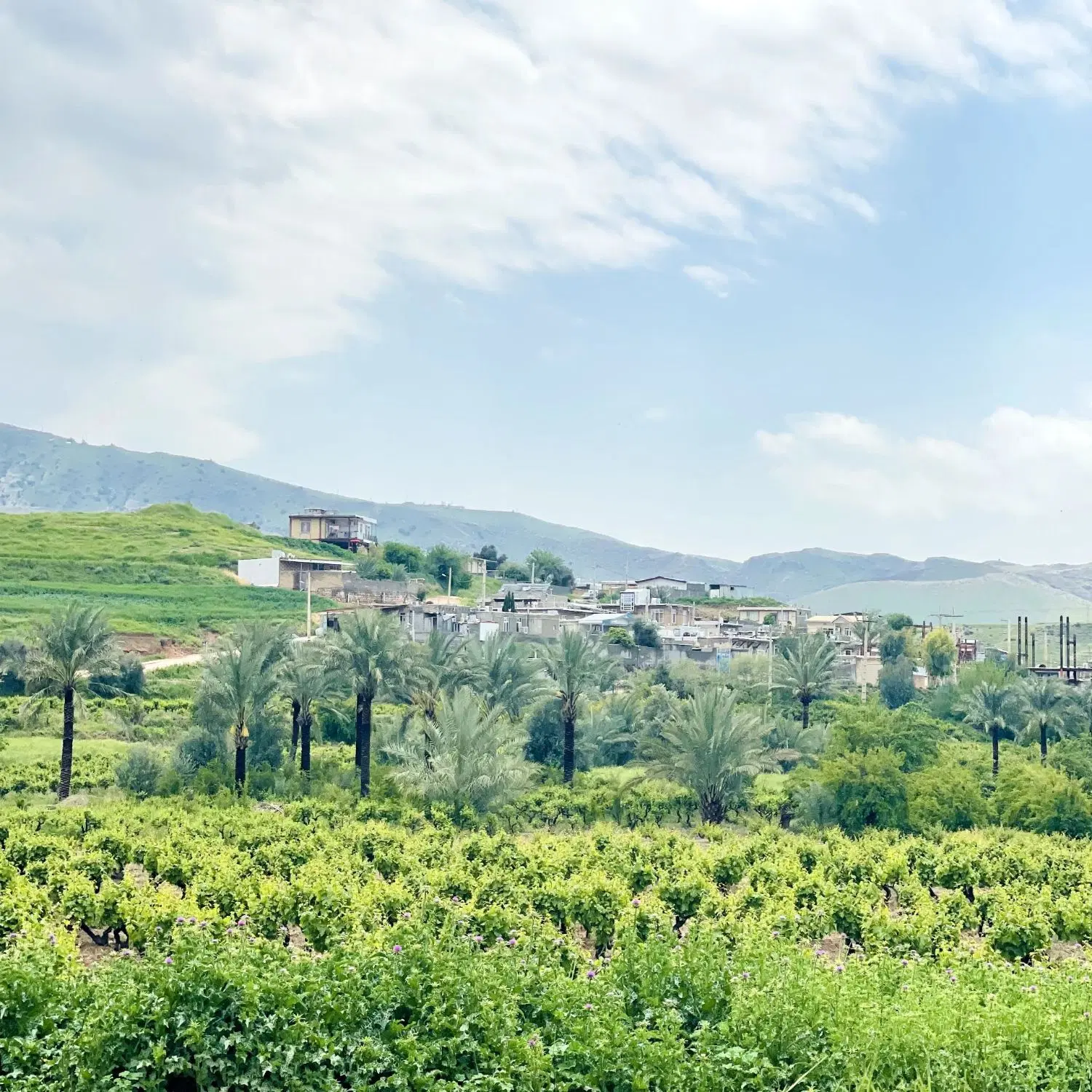 فروش سه قطعه زمین