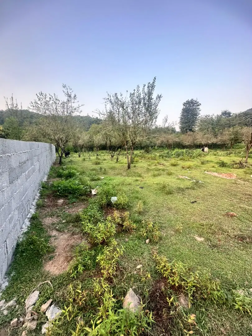 زمین مسکونی شهری