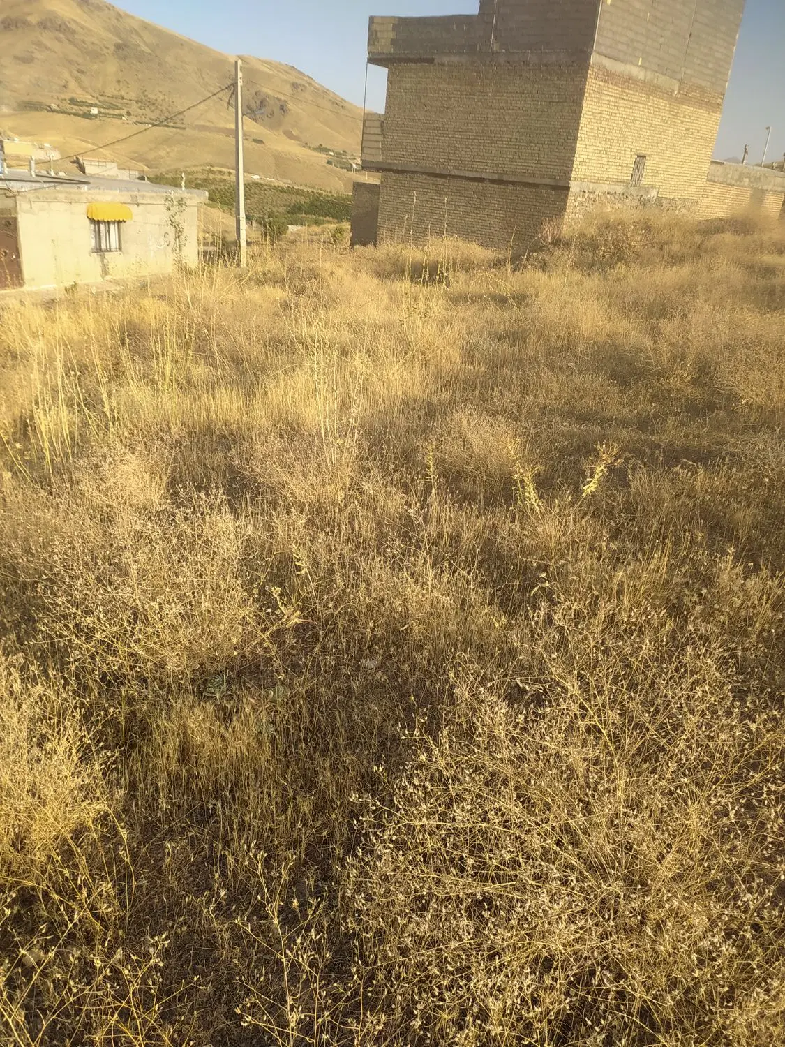 یک قطعه زمین مسکونی واقع در قلیان