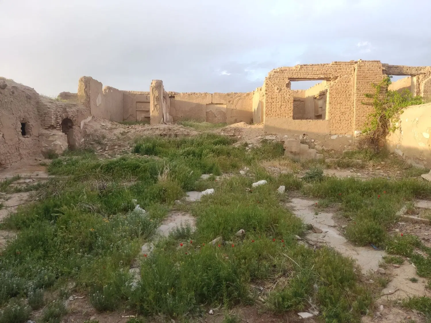 زمین مسکونی