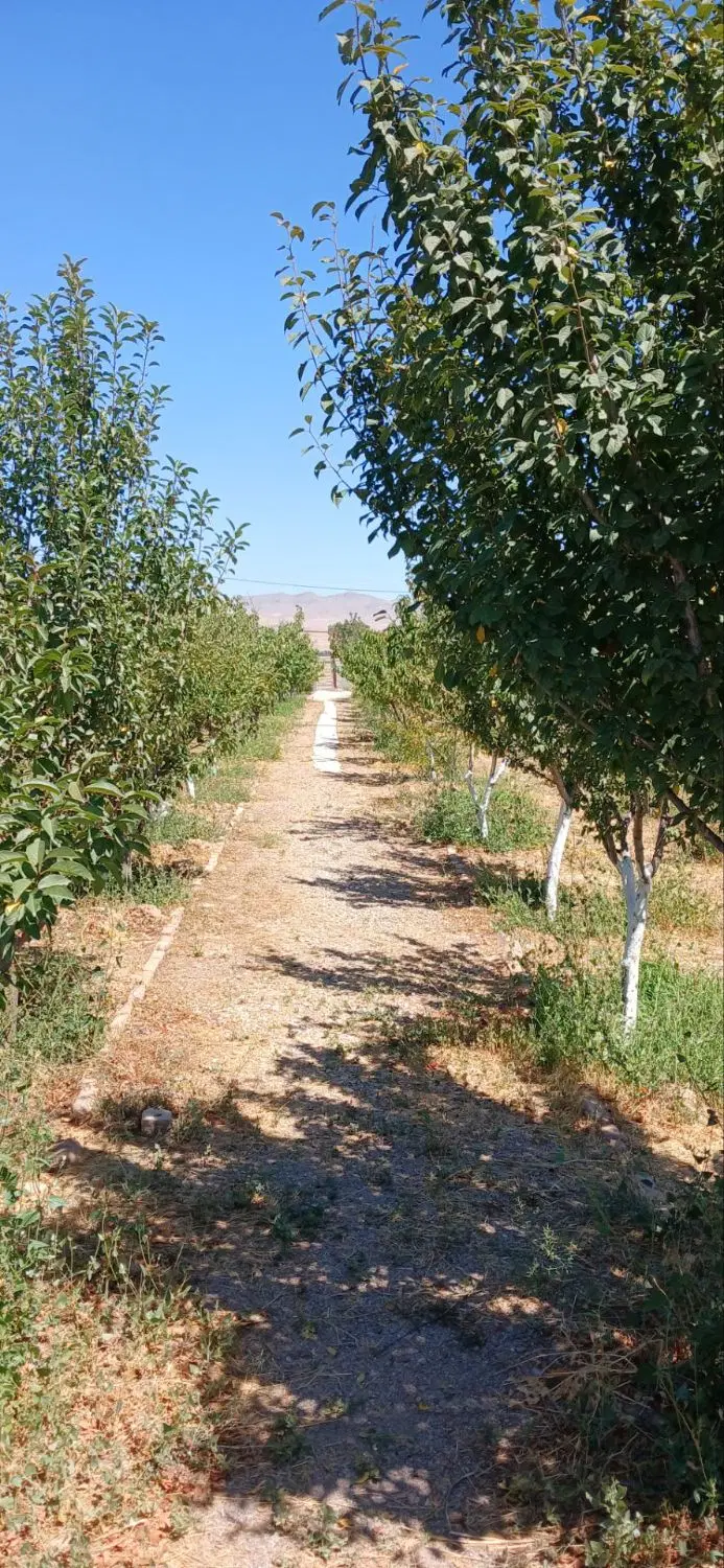 فروش زمین