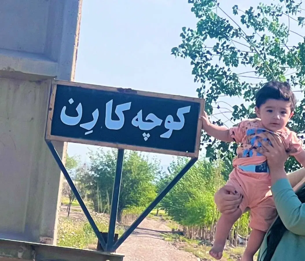 باغچه چهاردیواری بادرختان  میوه بن بالا