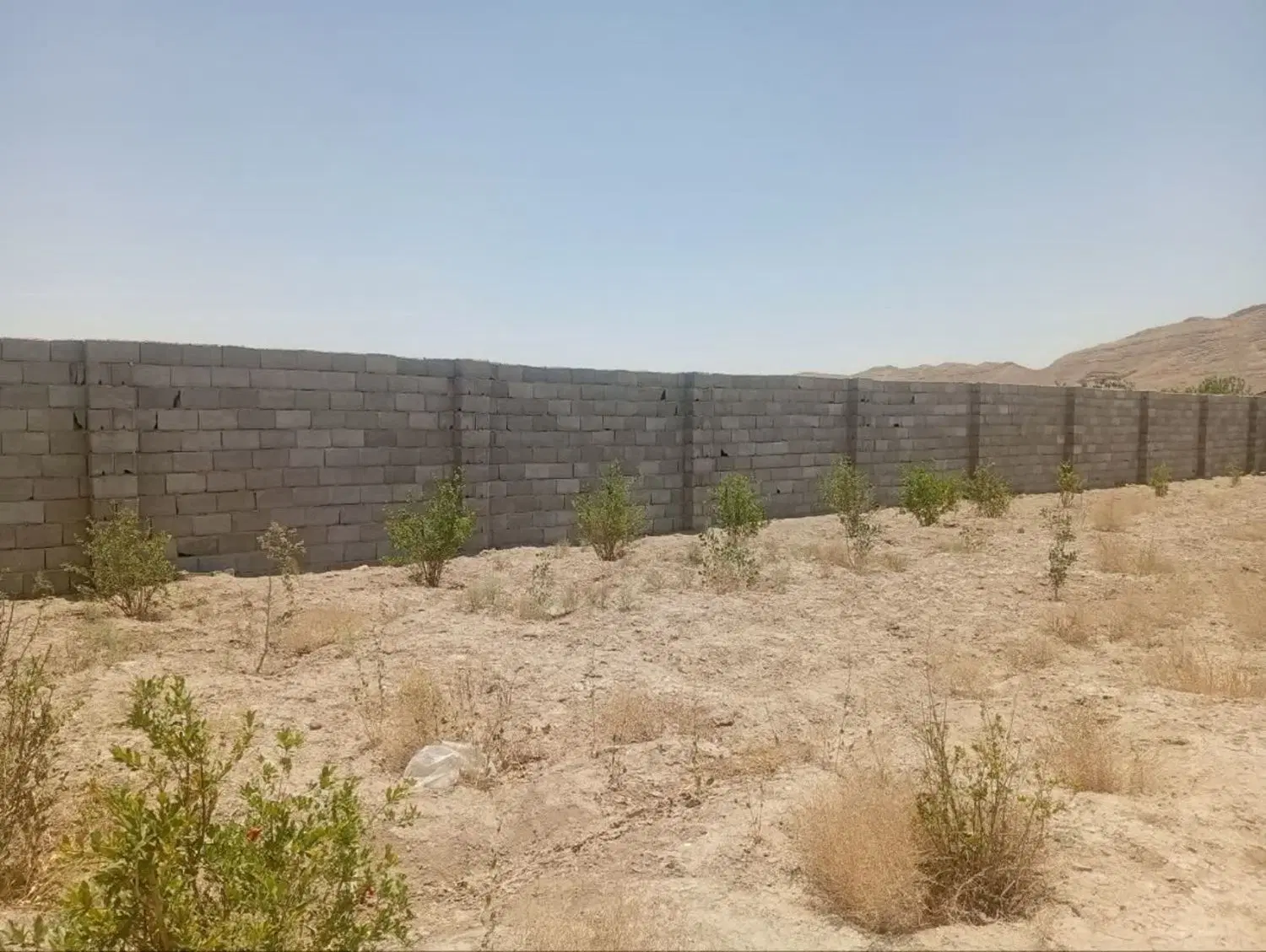 زمین باغی