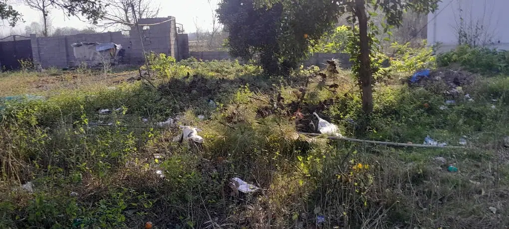 زمین  ۶۰۰متری با کاربری مسکونی