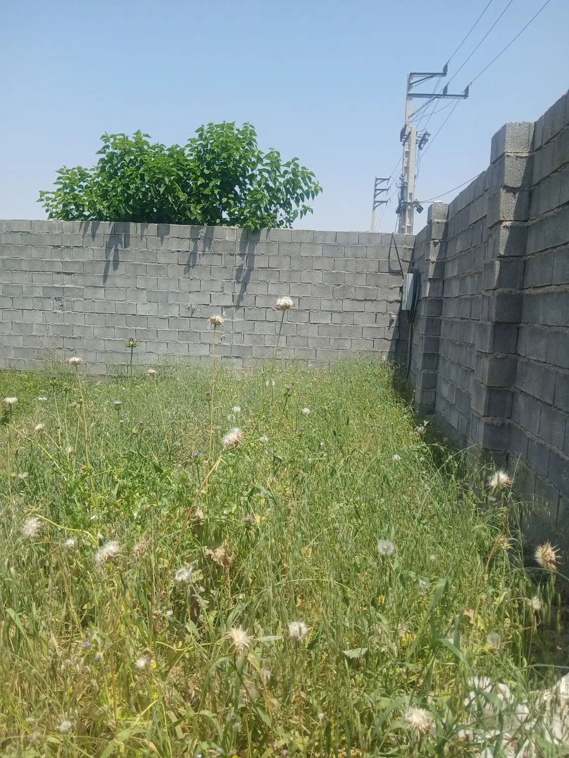 ۸۵۰ متر باغچه کوی خاطره شمس آباد