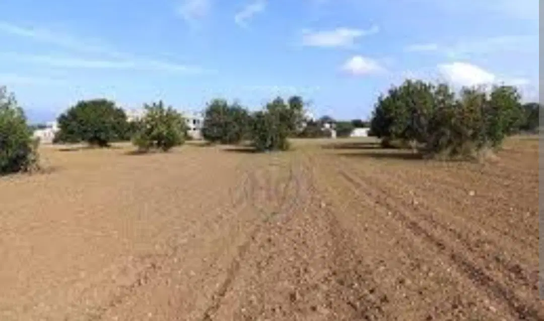 سلام یک قطعه زمین واقع دربندرلنگه