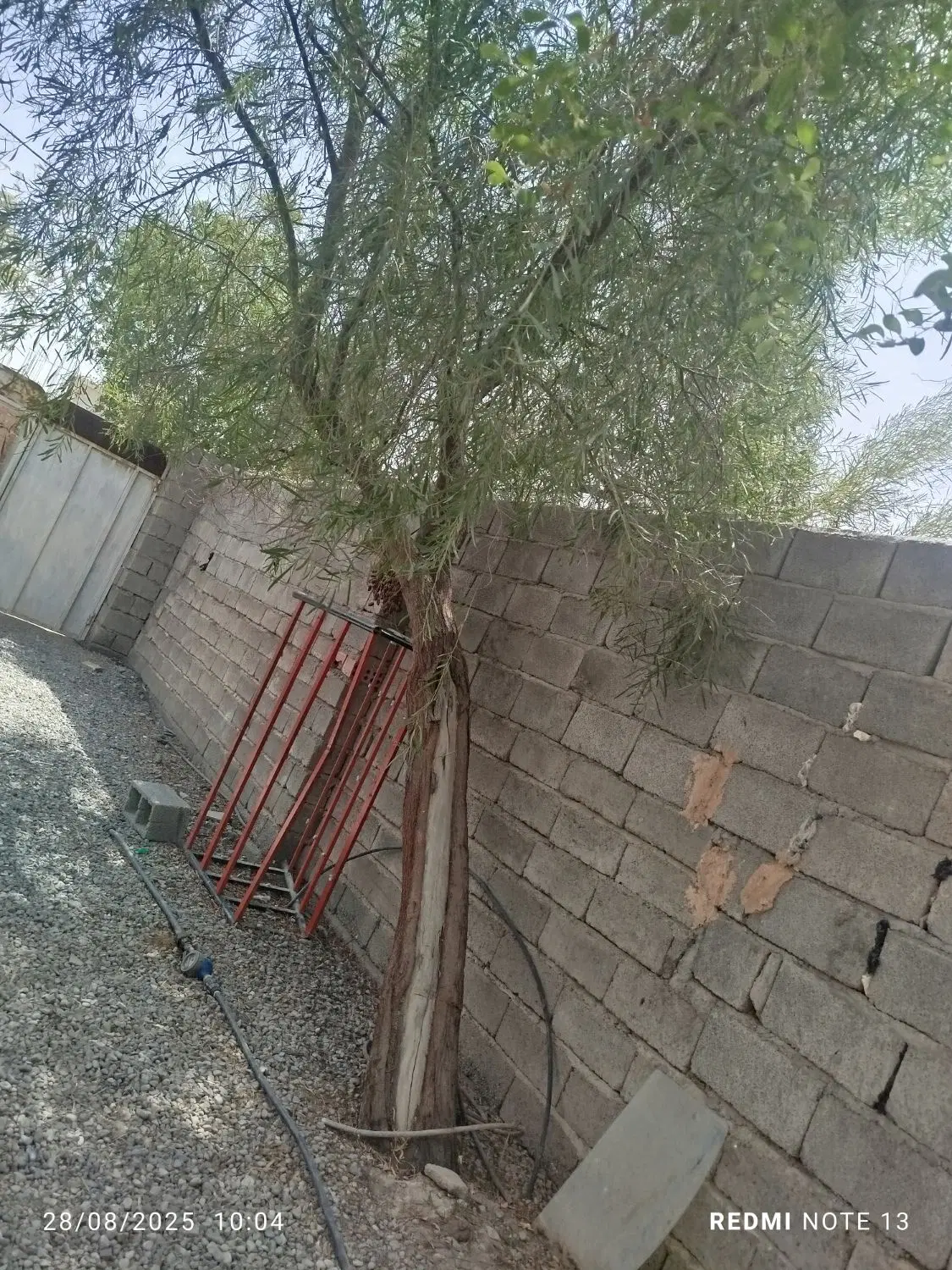 اجاره خانه ویلایی