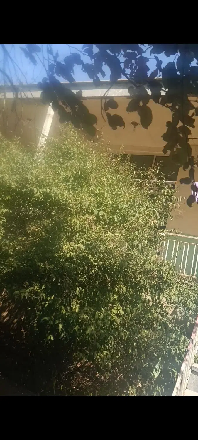 منزل850متری محله  سونقان