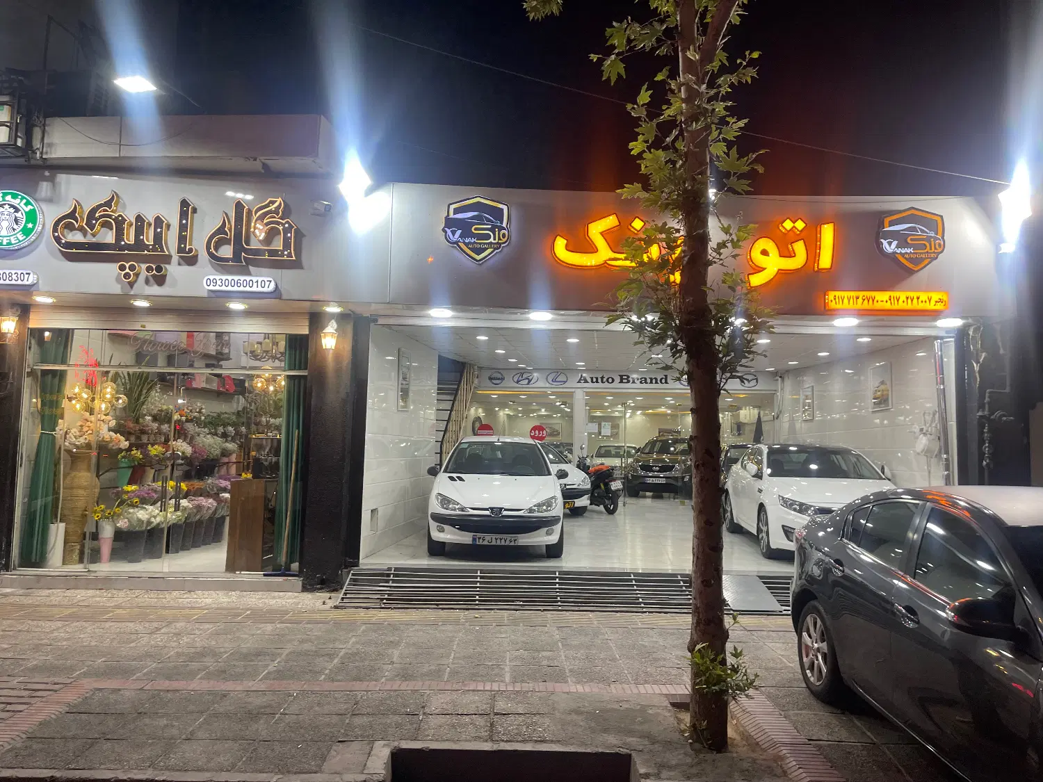 مغازه دودهنه بر سیمتری سینما سعدی