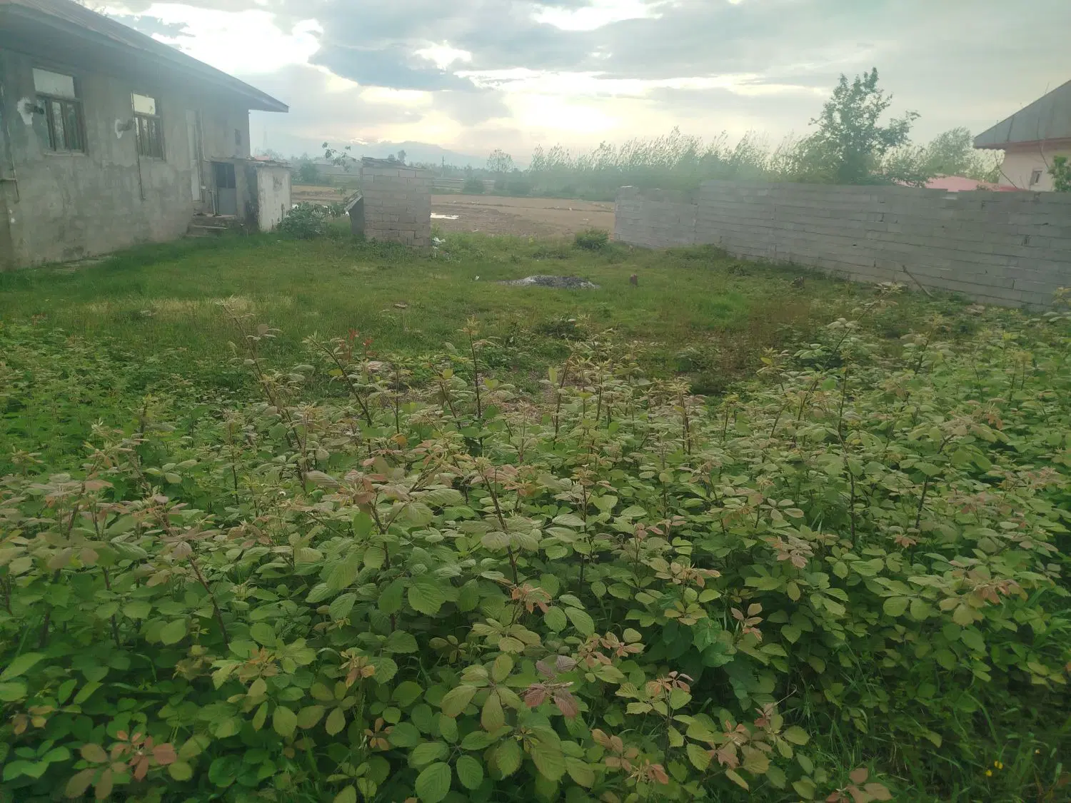 فرصت مناسب برای خرید زمین مسکونی 350متری