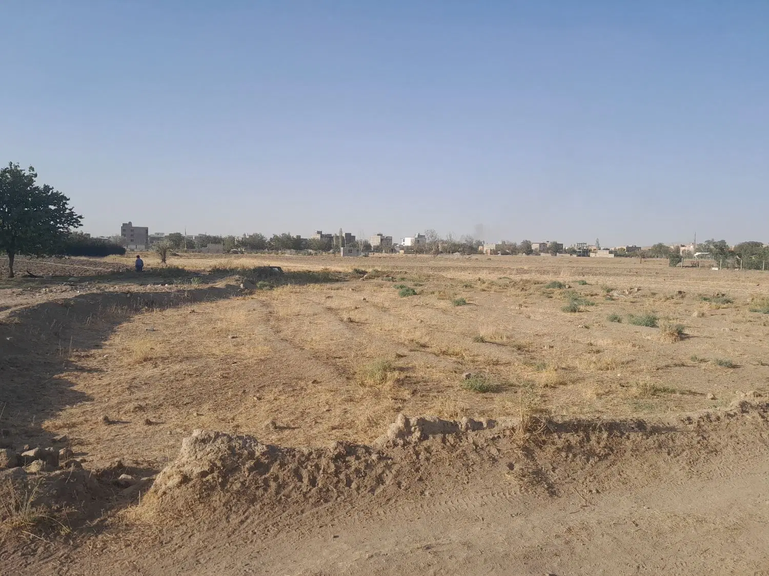 زمین کشاورزی در شورین