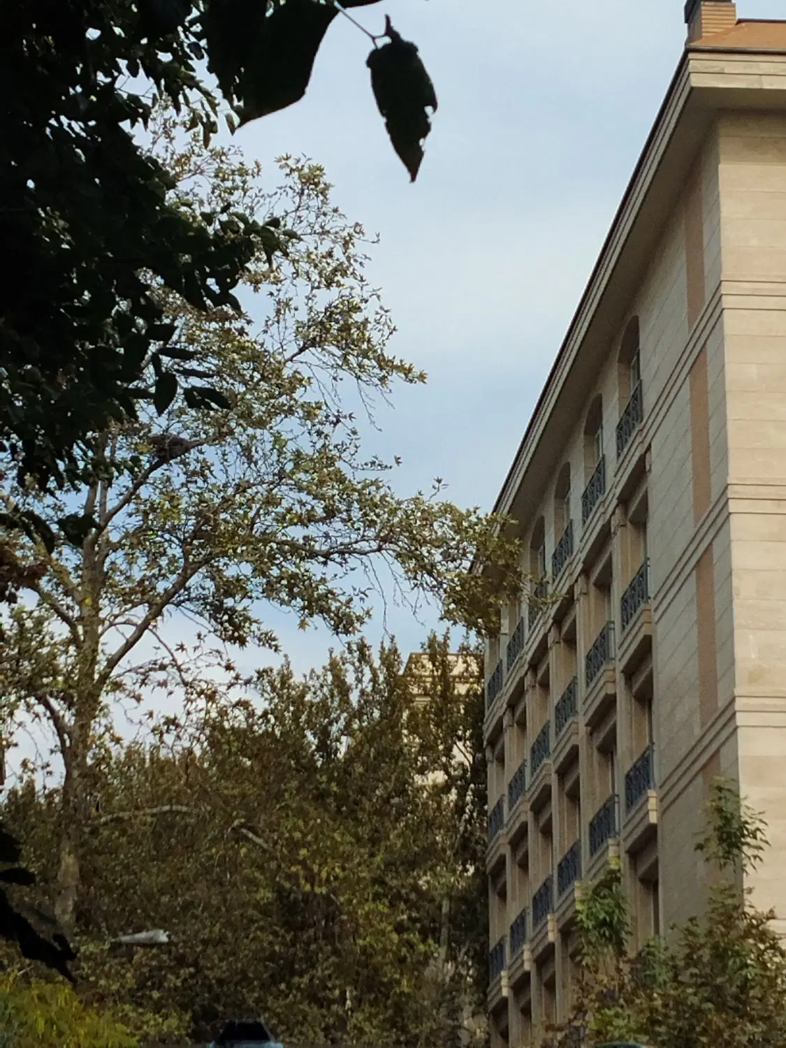 واحد ۵۰ متری شیک و تمیز