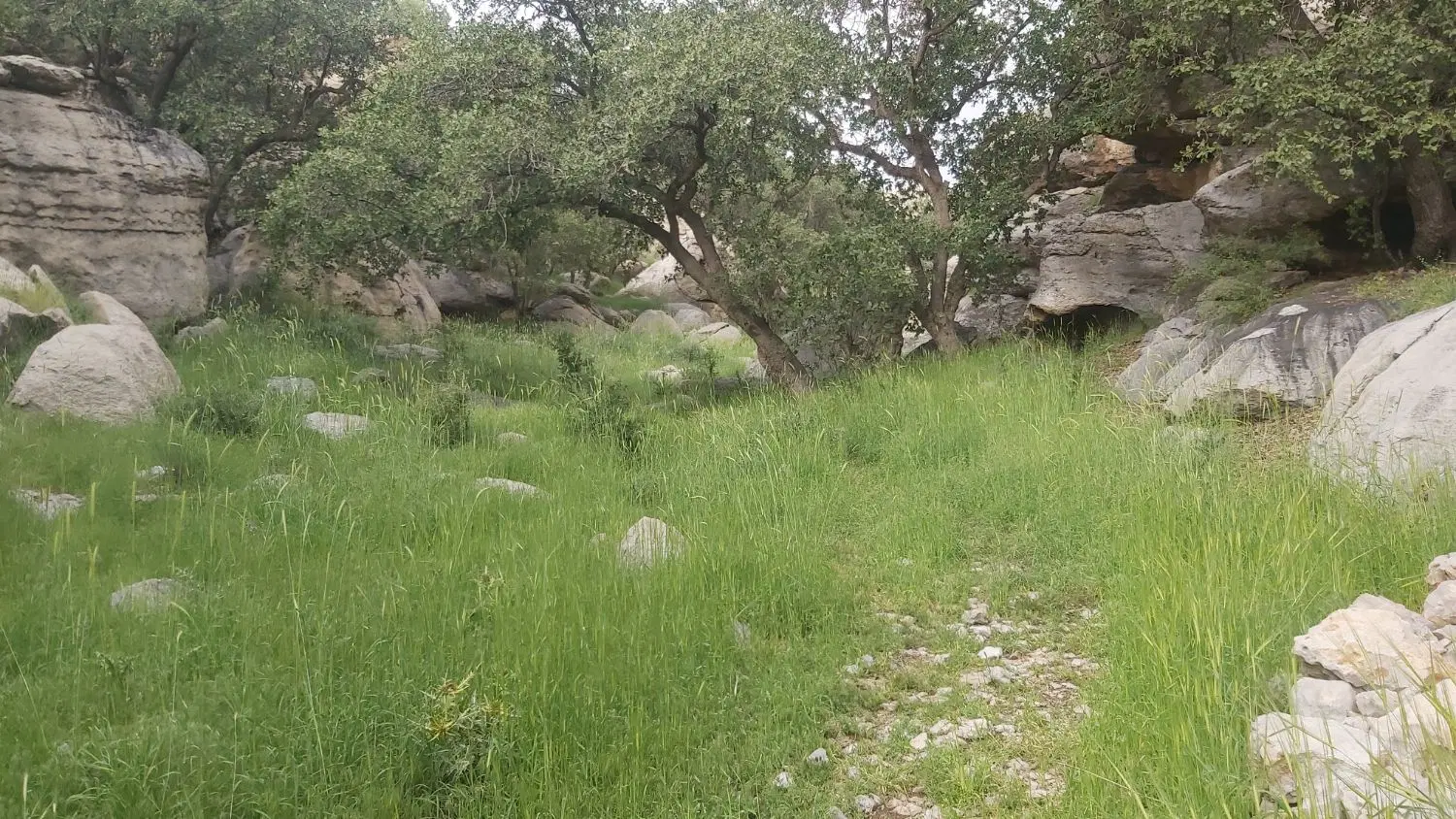 زمین خانه زنیان