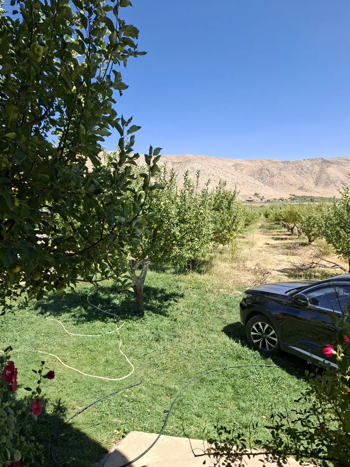 باغ سند دار و دارای طرح هادی
