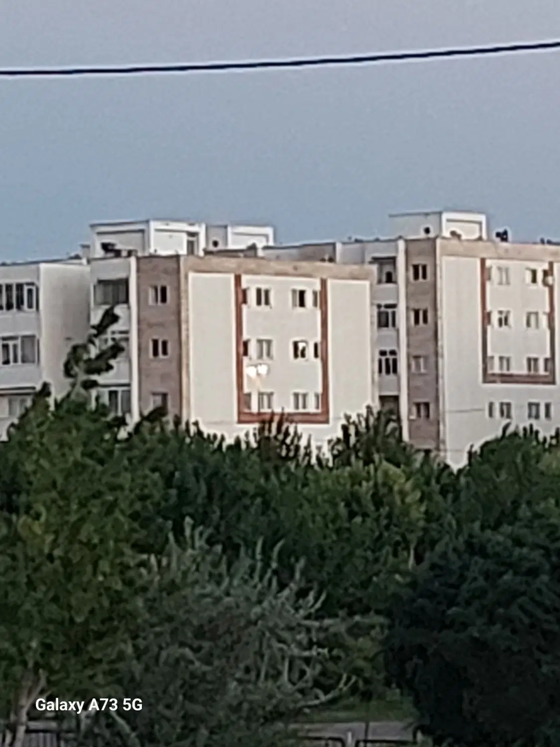 فیش صفا پارک