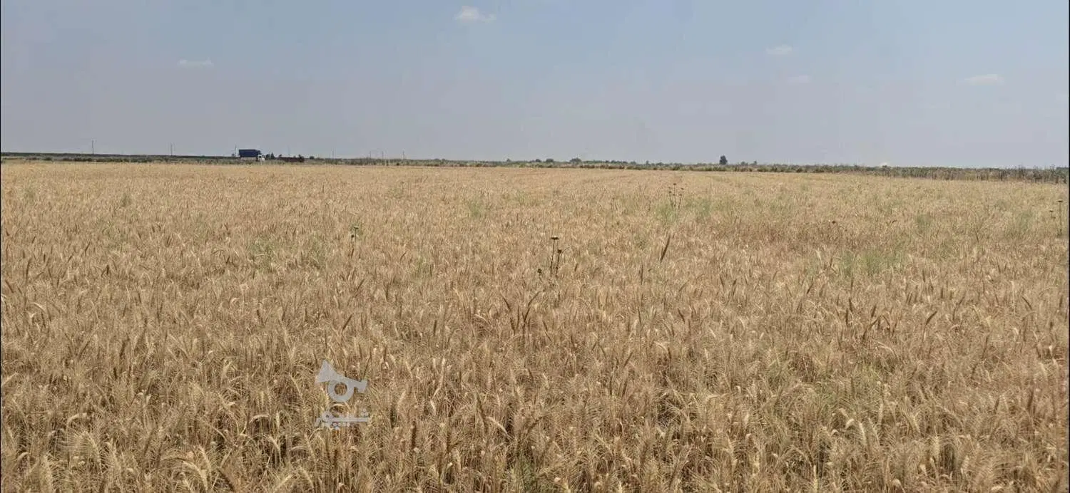 زمین کشاورزی دیم نرسیده به شرکت نفت چهزال ،