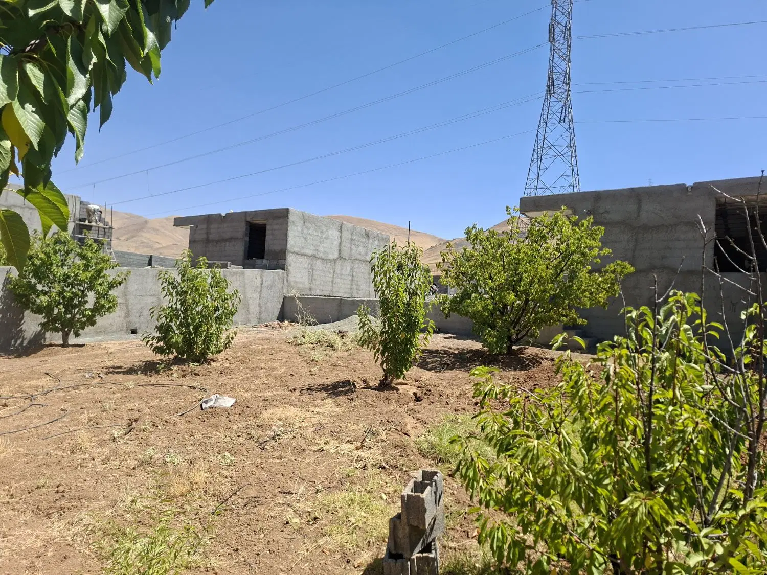 خانه باغ