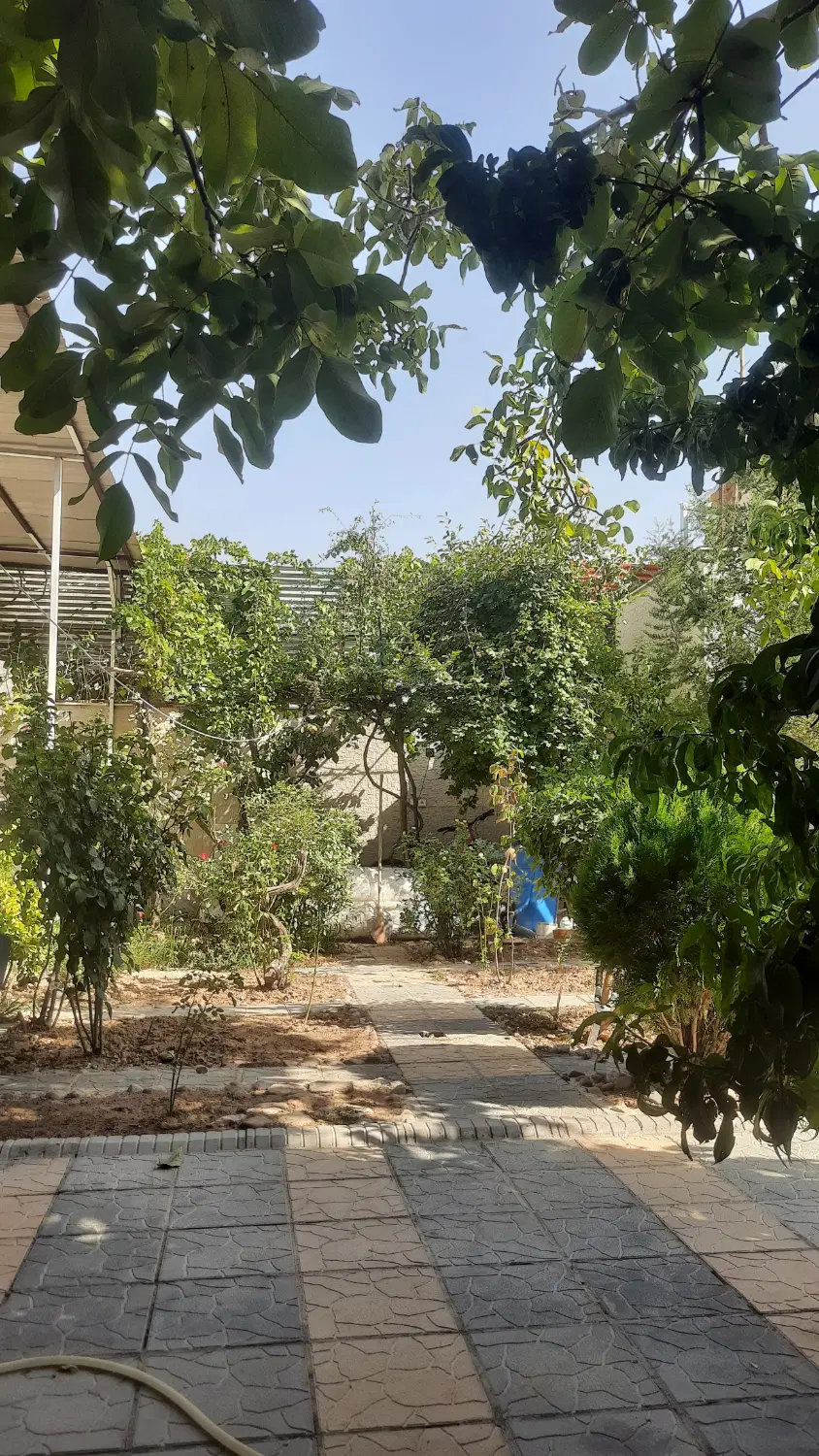 رهن و اجاره پیلوت