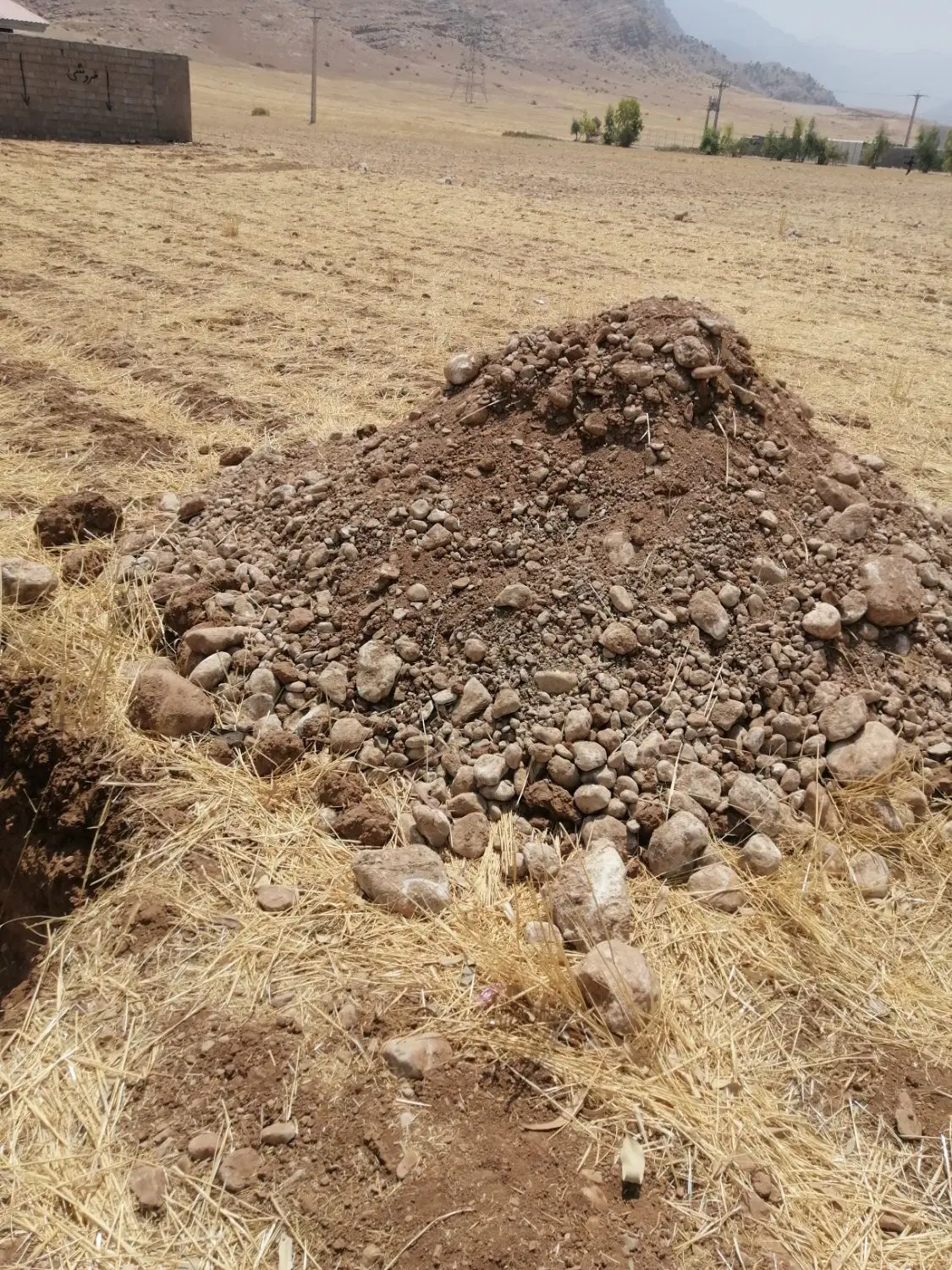 زمین مسکونی بردگپی