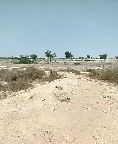 زمین گربدان متراژ 10هزار متر
