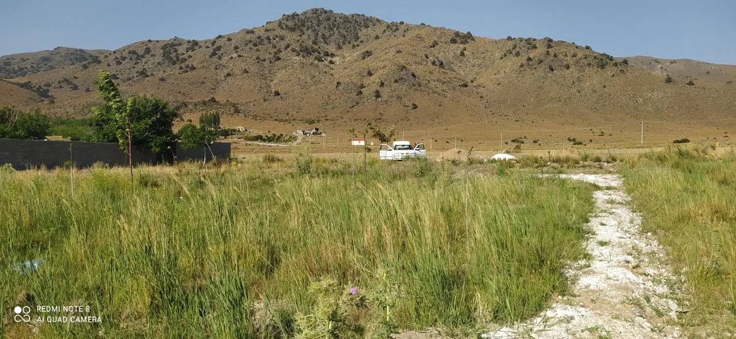 زمین باغی و ویلایی