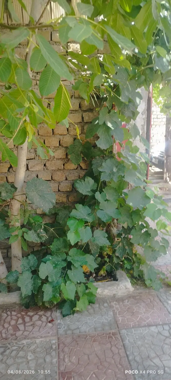 2قطعه زمین کشاورزی که هرکدام 3600متر میباشد