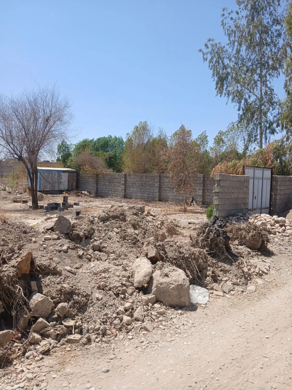 زمین باغ