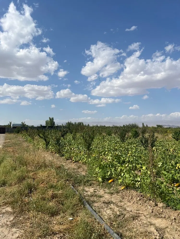 باغ و باغچه در گلبهار ورودی پل نوبهار