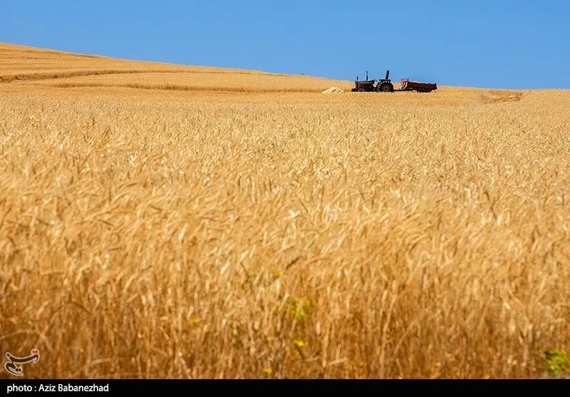 به چند هکتار زمین کشاورزی برای اجاره میخام