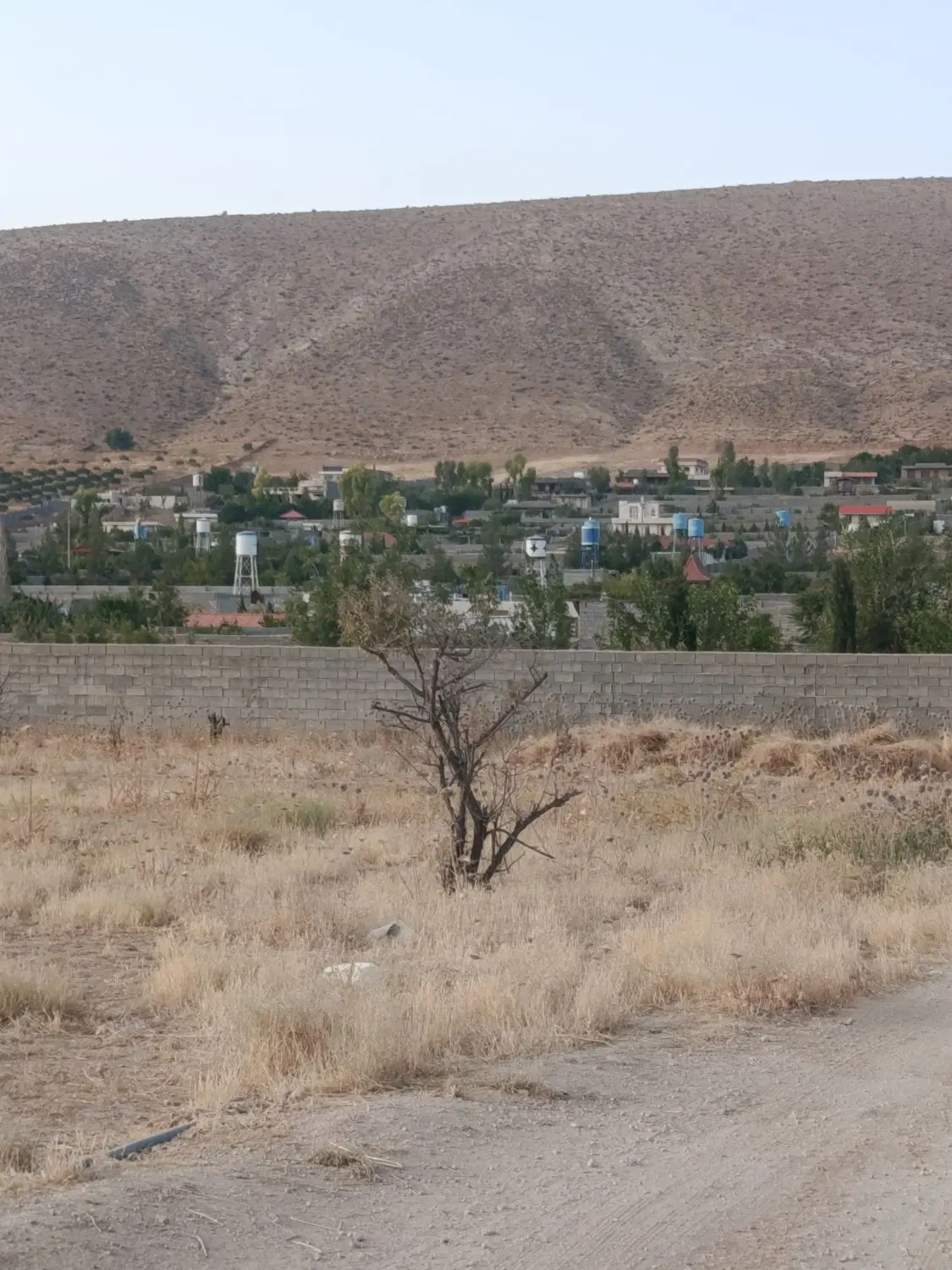 فروش زمین باغ شهری