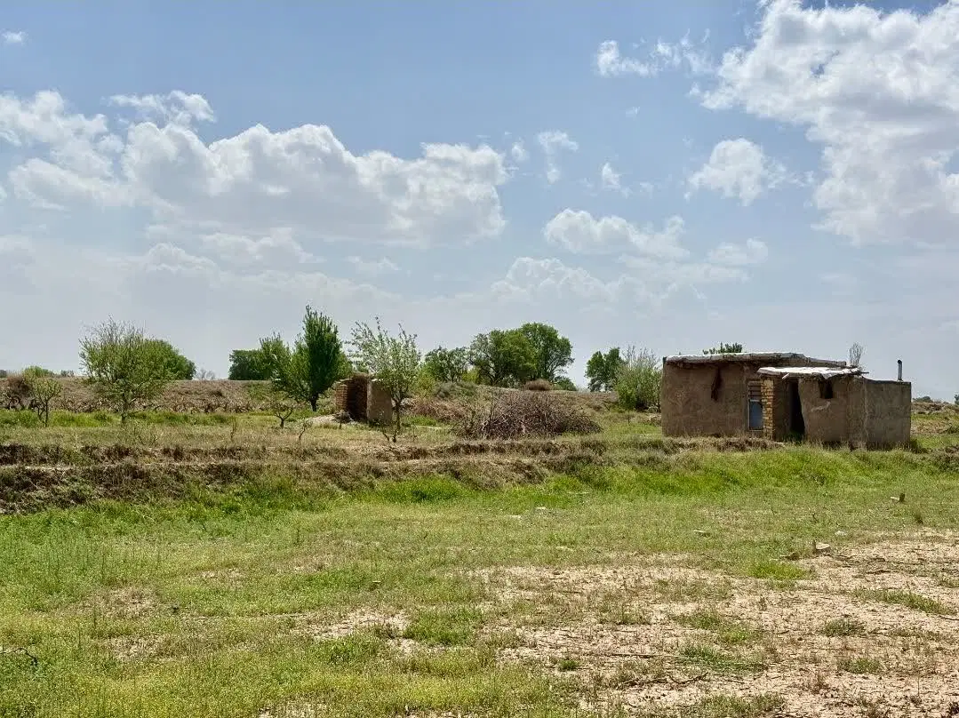 ۱۰۰۰متر زمین اماده ساخت