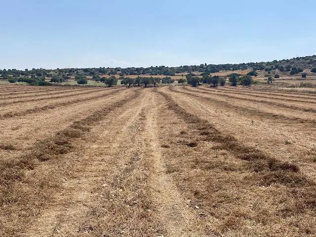 زمین ۲۰۰ متری جنوبی یکن آباد