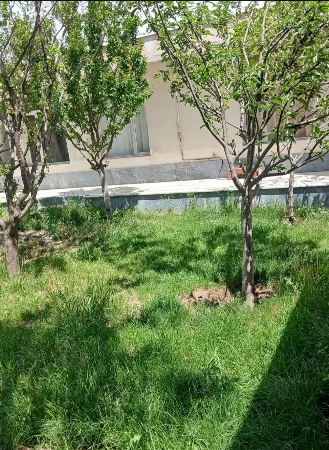 خانه